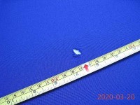 7V2G8aOdH6v9jNX4XJj6ZbDdAysTZojLmBQvS5SU